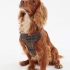 Accessories Barbour Collars & Harnesses | Barbour Travel And Exercise Harness