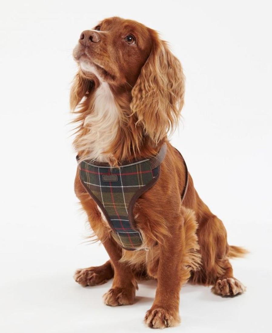 Accessories Barbour Collars & Harnesses | Barbour Travel And Exercise Harness