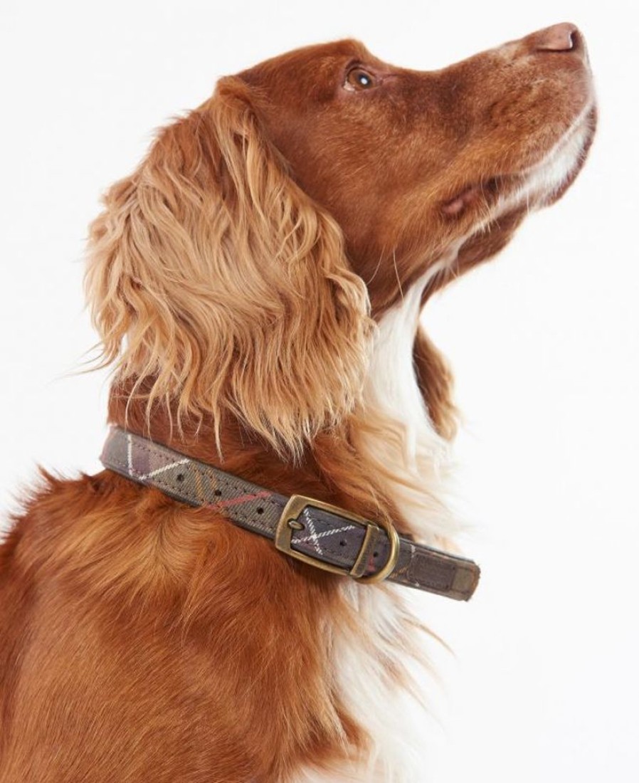 Accessories Barbour Collars & Harnesses | Barbour Tartan Dog Collar