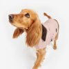 Accessories Barbour Coats | Barbour Quilted Dog Coat