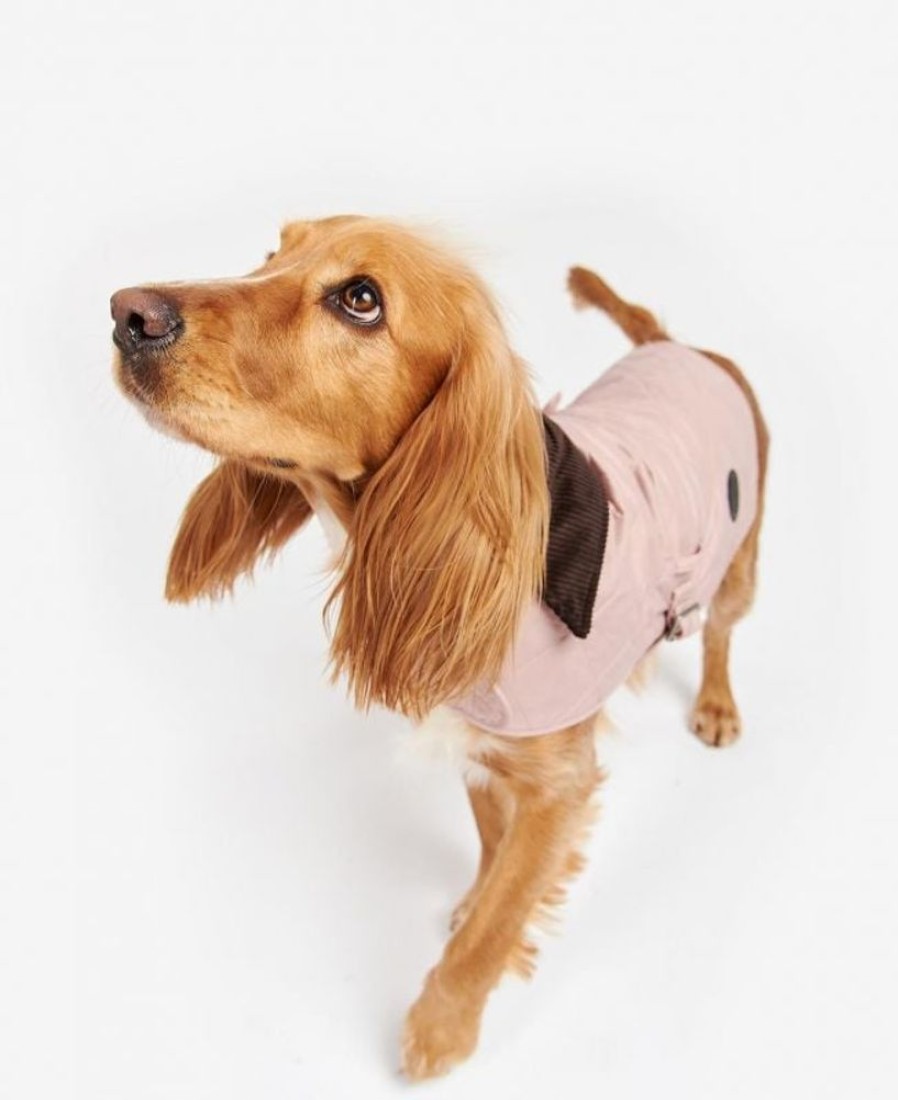 Accessories Barbour Coats | Barbour Quilted Dog Coat