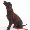 Accessories Barbour Leads | Barbour Reflective Slip Dog Lead