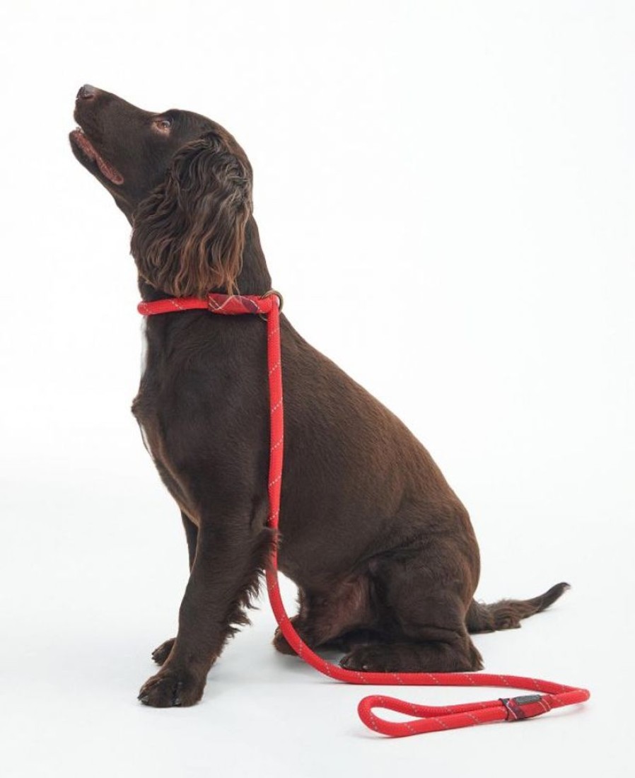 Accessories Barbour Leads | Barbour Reflective Slip Dog Lead