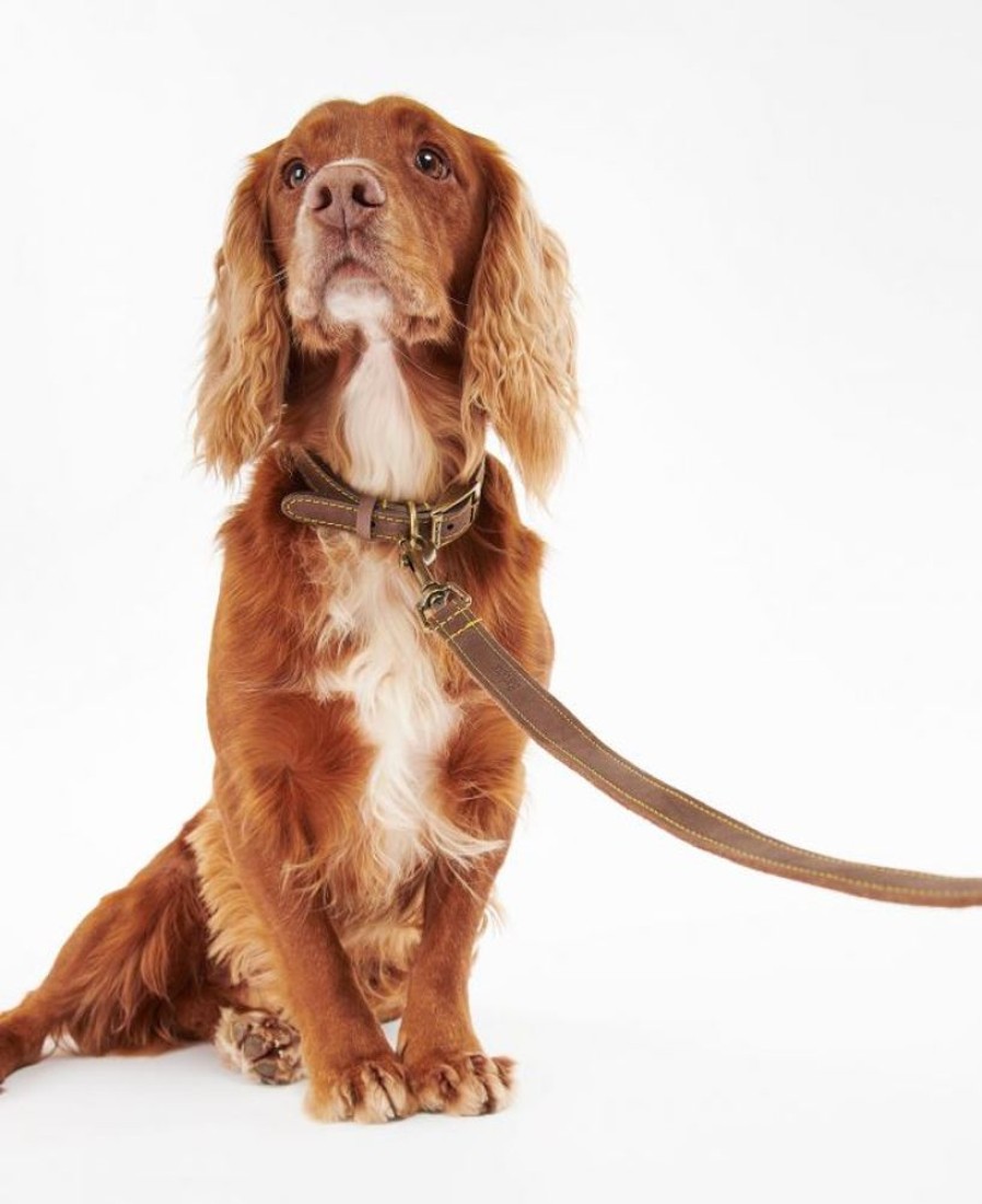 Accessories Barbour Leads | Barbour Leather Dog Lead