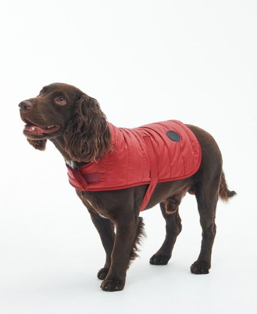 Accessories Barbour Coats | Barbour Baffle Quilted Dog Coat