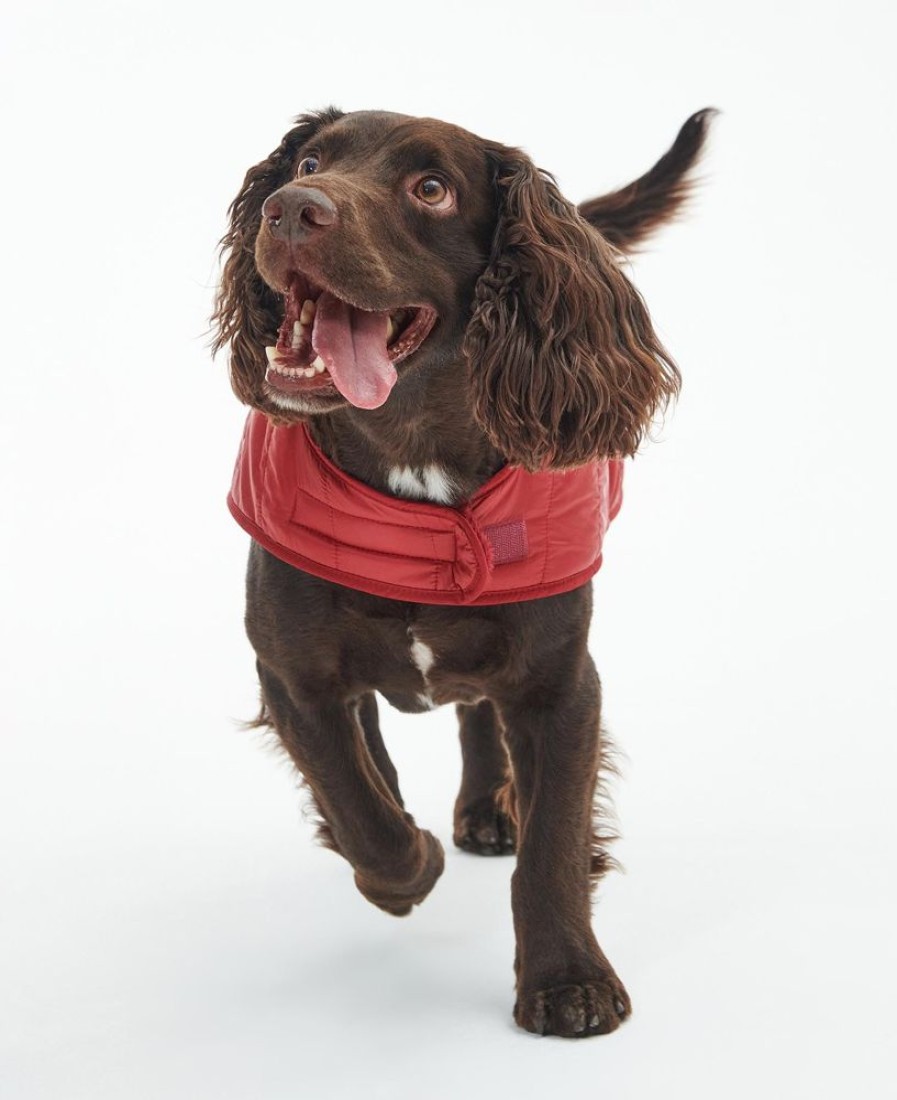 Accessories Barbour Coats | Barbour Baffle Quilted Dog Coat