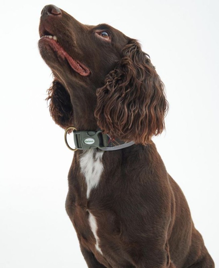 Accessories Barbour Collars & Harnesses | Barbour Reflective Tartan Comfort Dog Collar