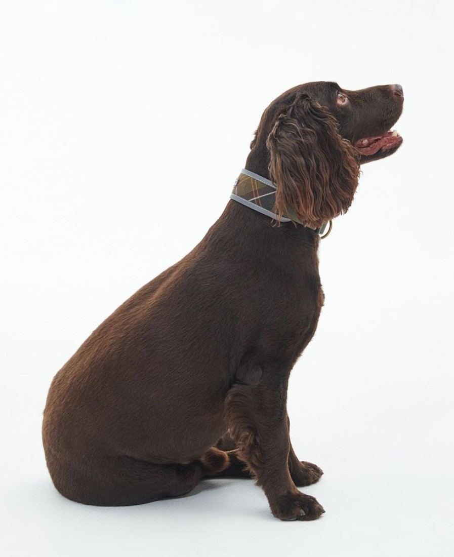 Accessories Barbour Collars & Harnesses | Barbour Reflective Tartan Comfort Dog Collar